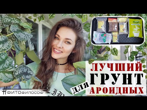 Видео: Мой лучший ГРУНТ для АРОИДНЫХ! Максимальная АЭРАЦИЯ корней и пышная листва гарантированы!