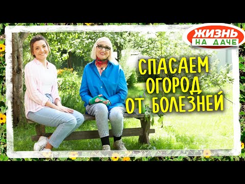 Видео: Парша, ржавчина, фитофтороз! Лечим сад и огород.
