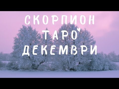 Видео: Скорпион ♏ Очаквайте знак! Таро ❤️ Декември