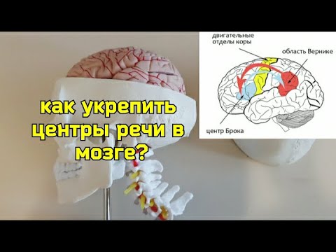 Видео: Мозг стал хуже работать? Укрепите шею и мозговые центры речи специальными упражнениями