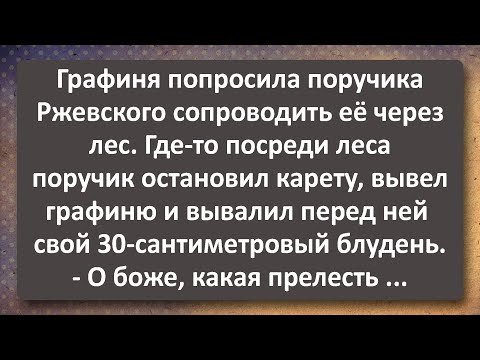 Видео: Поручик Ржевский Раскукожил в Лесу Графиню Ланскую! Сборник Самых Свежих Анекдотов!