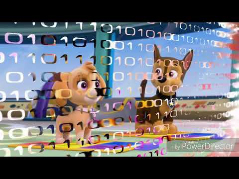 Видео: Гонщик и Скай. Любовь, которую невозможно описать.