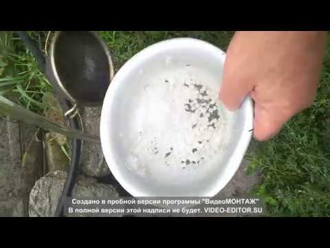 Видео: Как добыть икру виноградной улитки