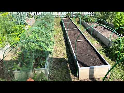 Видео: Приготовил грядку для клубники.