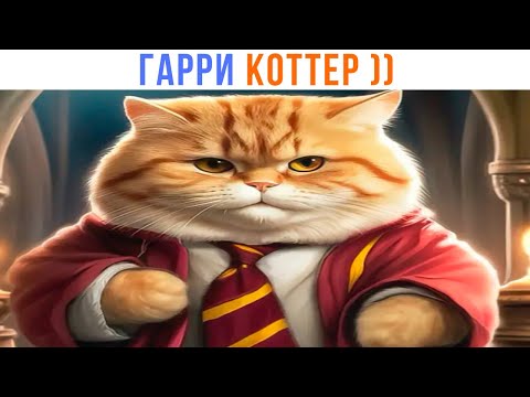 Видео: ГАРРИ КОТТЕР ))) Приколы про Гарри Поттера| Мемозг 1390
