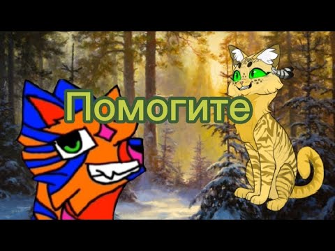 Видео: Реакция на "Звёздную радужку"