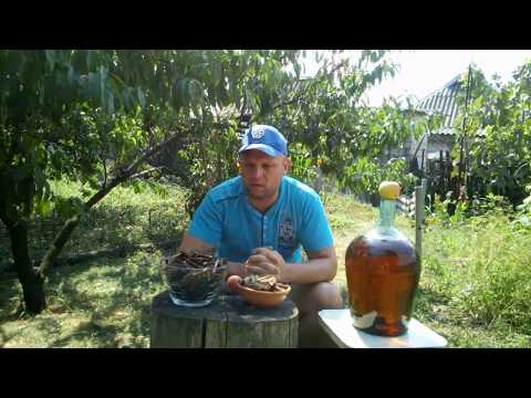 Видео: Приготовление дубовой щепы