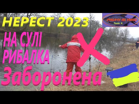 Видео: ЗАБОРОНА рибалки на Сулі #РибачуЯкУмію