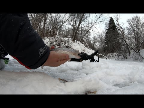 Видео: Зимний хариус у Перми.2 дня рыбалки.