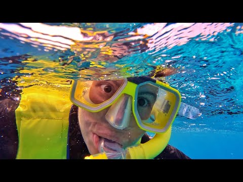 Видео: Австралия. ШОК. Меня тошнит. Попали на Барьерный риф #15
