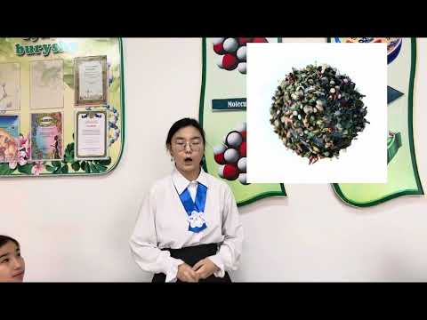 Видео: “ProEco” экологиялық жоба. “Мені қоршаған әлем-ғажайып әлем”. “№10 қазақ мектеп-гимназиясы” КММ