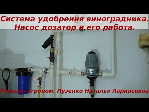 Видео: Система удобрения виноградников, насос дозатор. Пузенко Наталья Лариасовна
