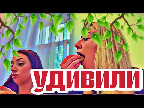 Видео: Диана ВонХ жаба задушила сестричек🤦🏻‍♀Все старенькое,как у Дианы дома.