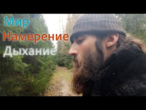 Видео: Снаряжение для Мухоморного странствия