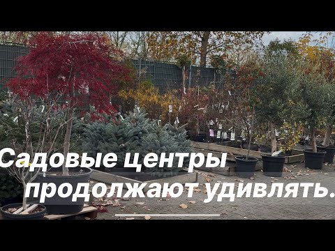 Видео: Прогулка по садовому центру Risse в городе Paderborn 🌿 Ассортимент и предложения 🌿
