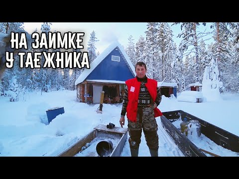 Видео: СНОВА У ЛЁХИ НА ИЗБЕ \ УЮТ ТАЁЖНОГО ДОМА \ СТАНОВЛЮСЬ ОХОТНИКОМ \ ЖИЗНЬ В ТАЙГЕ