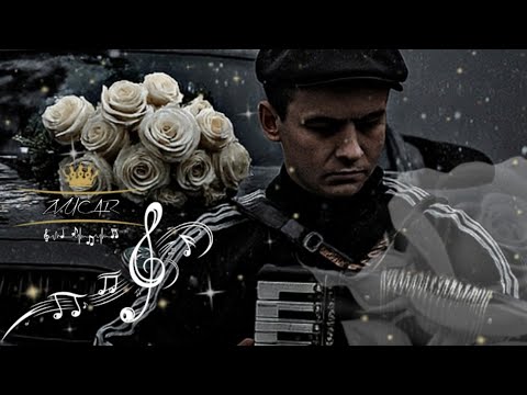 Видео: ⚜️Білі Троянди🤍✨ Cover 2025🔥⚜️