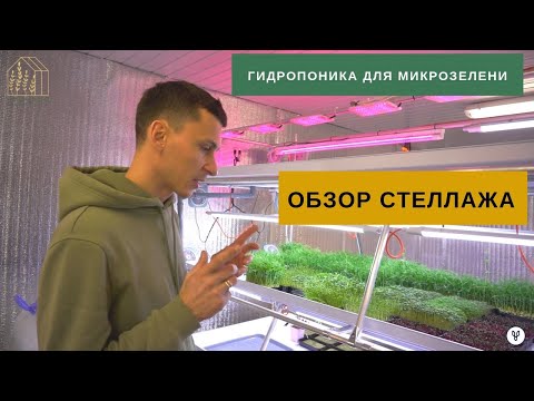 Видео: Гидропоника для микрозелени. Обзор стеллажа