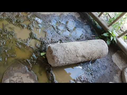 Видео: 31 октября 2025 г.