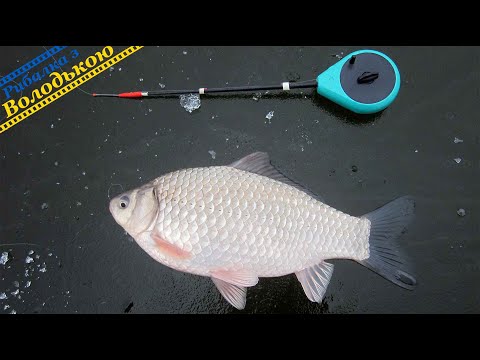 Видео: Ловля карася взимку на ставку!  Піймати карася на мормишку з мотилем з льоду! Де шукати карася зимою
