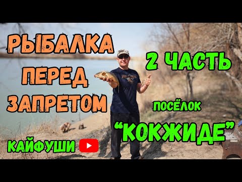 Видео: Рыбалка 2 часть. Белый Степной гриб.