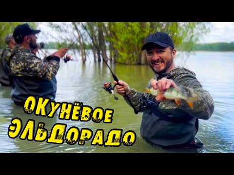 Видео: Эта снасть КОСИТ КРУПНОГО Окуня! ПРАВИЛЬНЫЙ Отводной Поводок! Ловля Окуня на Оби Рыбалка на спиннинг