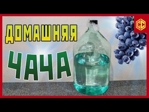 Видео: Домашняя ЧАЧА из мезги Саперави. Очень вкусная и ароматная виноградная водочка