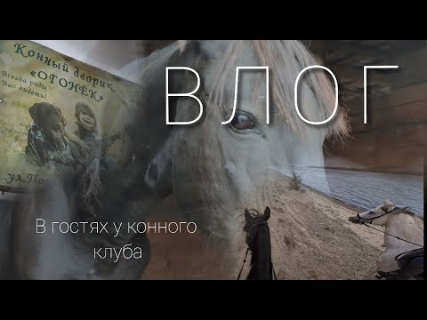 Видео: В ГОСТЯХ у клуба/выезд на БЕРЕГ/ВЛОГ