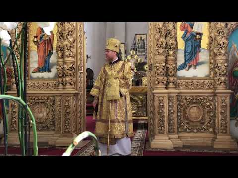 Видео: Про образ Божий в людині та подобу, а також про покаяння (неділя 6-та після Трійці, 19.07.20)