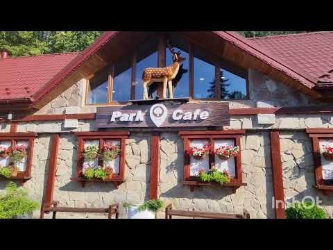 Видео: ТРУСКАВЕЦЬ-25!  Вечірнє життя КУРОРТУ!