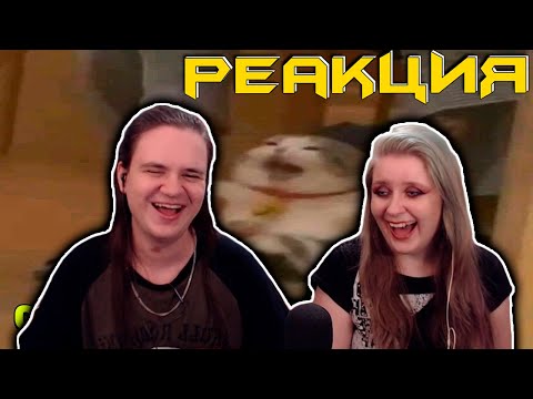 Видео: ЗАСМЕЯЛСЯ - ПОДПИСАЛСЯ!! ЛУЧШИЕ ПРИКОЛЫ 2020 ТЕСТ НА ПСИХИКУ УГАР! #301 | РЕАКЦИЯ НА @user-gd4xz9my3r |