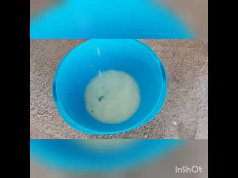 Видео: Ешкі сүтінен құрт жасау