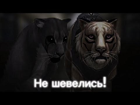Видео: °Страшилка WildCraft° •Не шевелись!• WorldBegemotKot