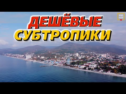 Видео: Лазаревское: жизнь в субтропиках - дороже чем в Москве?