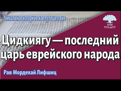 Видео: Zoom-уроки Толдот.ру