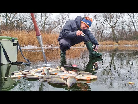 Видео: Что НУЖНО ОКУНЮ в этом ГОДУ??? Зимняя Рыбалка
