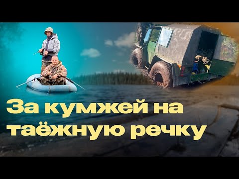 Видео: РЫБАЛКА НА КУМЖУ И ХАРИУСА. ЗАСАДИЛИ ВЕЗДЕХОД.