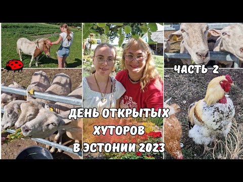 Видео: Эстония.Дни открытых хуторов.Avatud talude päev 2023.Жизнь в эстонской провинции.Деревня в Эстонии