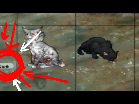 Видео: чё опять происходит вообще [CatWar]