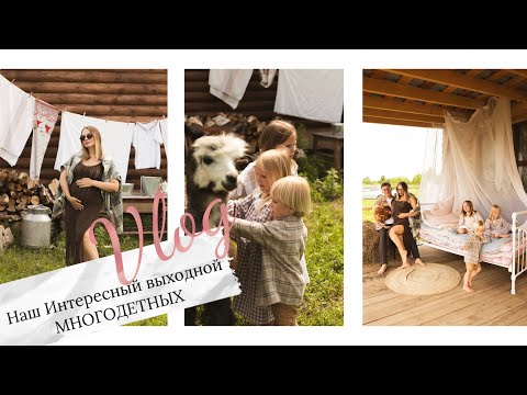 Видео: ВЛОГ•Ферма Альпак во Владивостоке•Обзор фермы•Красивая фотосессия•Купили КОЛЯСКУ для ЧЕТВЕРТОГО👶🏻