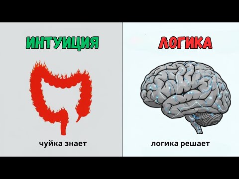 Видео: Почему ваша интуиция знает лучше, чем вы?