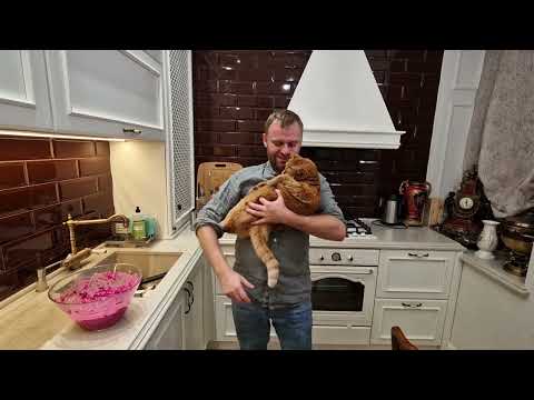 Видео: ПРОСТОЙ НО ВКУСНЫЙ САЛАТ