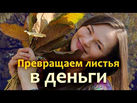 Видео: Листья как удобрение СЕКРЕТ пользы из "мусора"