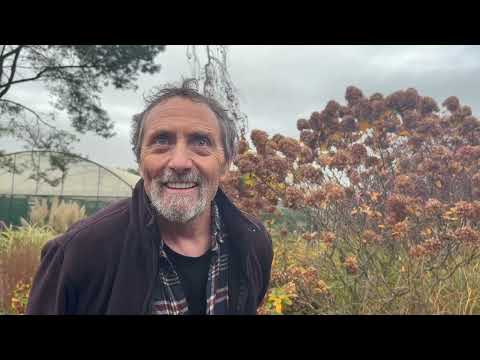 Видео: Разница между садовником и садоводом