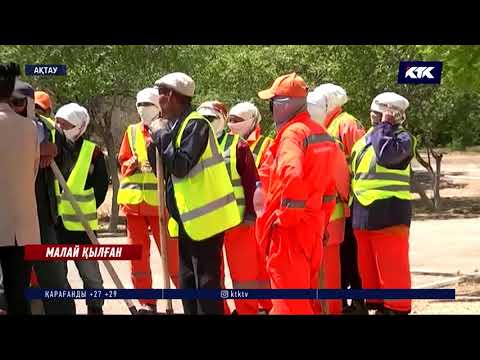 Видео: Ақтау: Көше тазалаумен айналысатын мекеме жұмысшылары қосымша жұмыстарға жегілген