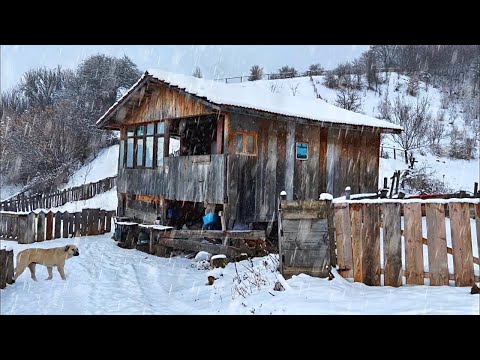 Видео: Тяжелая жизнь в горах. Деревенская жизнь в Турции зимой | Документальный фильм