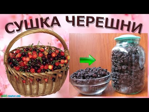 Видео: Вяленая черешня в Ezidri Snackmaker FD500