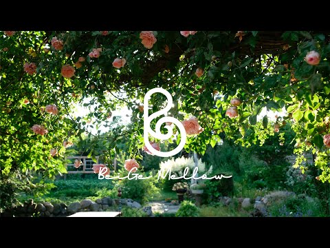 Видео: Утренняя музыка 🌞 Счастливая фортепианная музыка нового века для освежающего утра