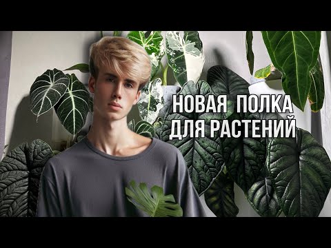 Видео: 🌟КАК СДЕЛАТЬ ИДЕАЛЬНОЕ МЕСТО ДЛЯ РАСТЕНИЙ НА СТЕЛЛАЖЕ?🤤🌵👏