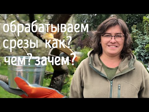 Видео: Как, чем и зачем обрабатываем срезы. Садовый вар и прочие замазки.